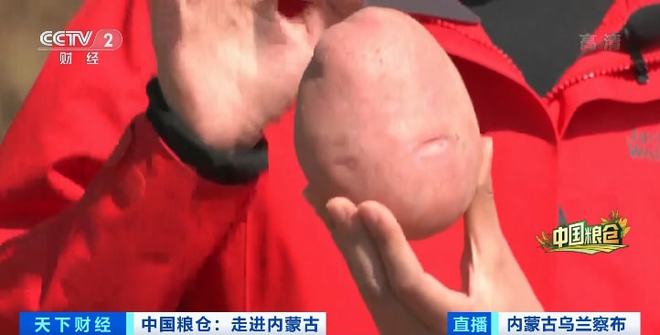 天博·综合体育一箱卖80元！这种常见的农作物身价倍增！撑起超百亿大产业！秘诀是→(图1)