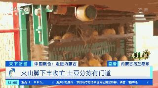 天博·综合体育一箱卖80元！这种常见的农作物身价倍增！撑起超百亿大产业！秘诀是→(图3)
