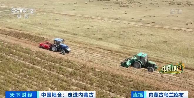 天博·综合体育一箱卖80元！这种常见的农作物身价倍增！撑起超百亿大产业！秘诀是→(图2)