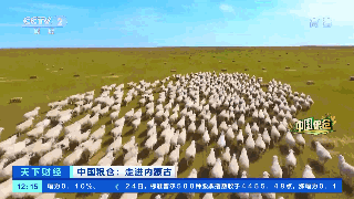 天博·综合体育一箱卖80元！这种常见的农作物身价倍增！撑起超百亿大产业！秘诀是→(图11)