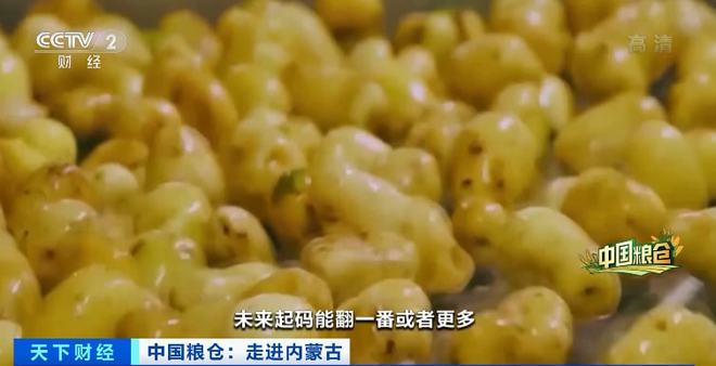 天博·综合体育一箱卖80元！这种常见的农作物身价倍增！撑起超百亿大产业！秘诀是→(图13)