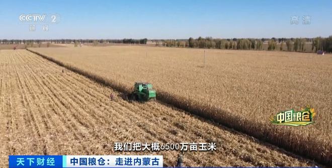 天博·综合体育一箱卖80元！这种常见的农作物身价倍增！撑起超百亿大产业！秘诀是→(图12)