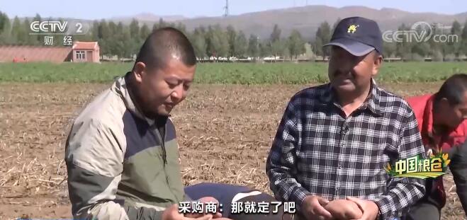 天博·综合体育新农人回乡创业销售农产品 新理念带动乡邻增收致富(图1)