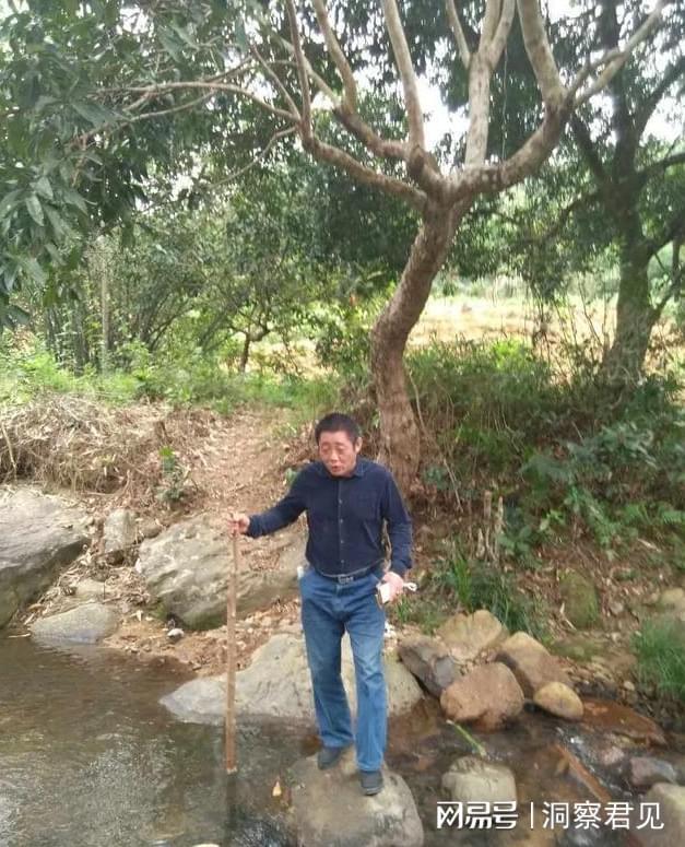 天博·综合体育聊聊种植业：种地的现状(图1)
