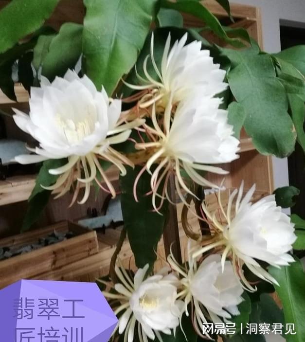 天博·综合体育聊聊种植业：种地的现状(图3)