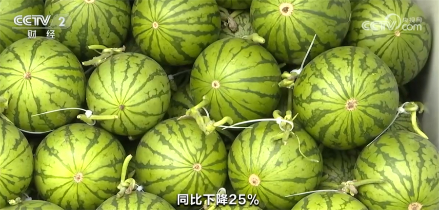 天博·综合体育时令水果陆续上市 全国水果价格小幅回落(图3)