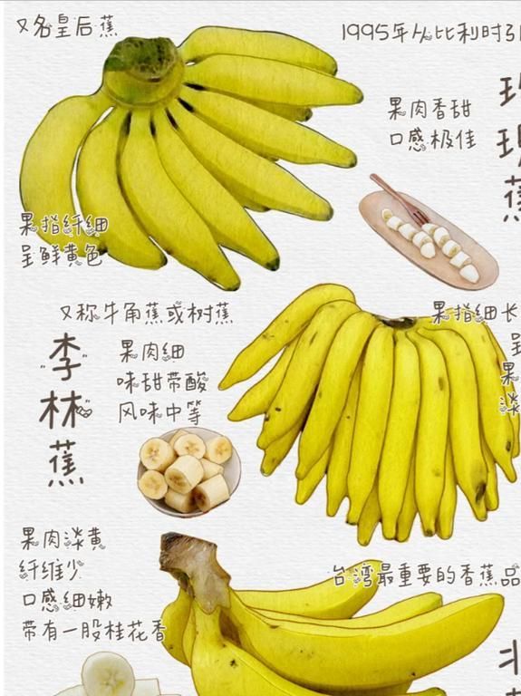 天博·综合体育为什么说香蕉是水果界的“唢呐”？(图4)