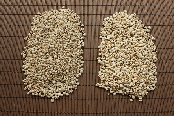 天博·综合体育药财有道浅谈薏苡仁三重潜在利好两重制约因素(图1)