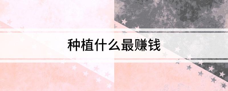 天博·综合体育种植什么最赚钱(图1)
