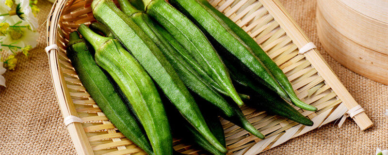 天博·综合体育农村种植的好项目(图1)