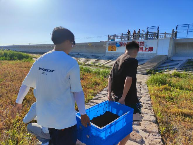 天博·综合体育这群大学生在南汇东滩移栽267万株幼苗助力盐碱地生态修复(图1)