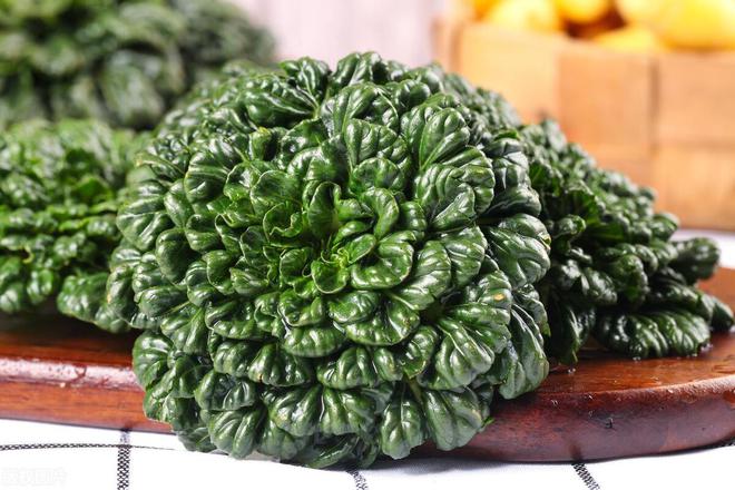 天博·综合体育黄心乌塌菜种植时间和方法(图2)