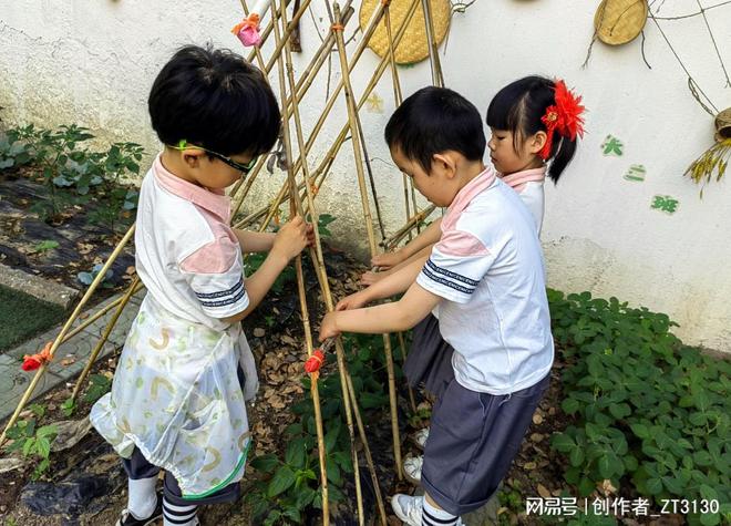 天博·综合体育幼苗破土出绿意满园春(图2)