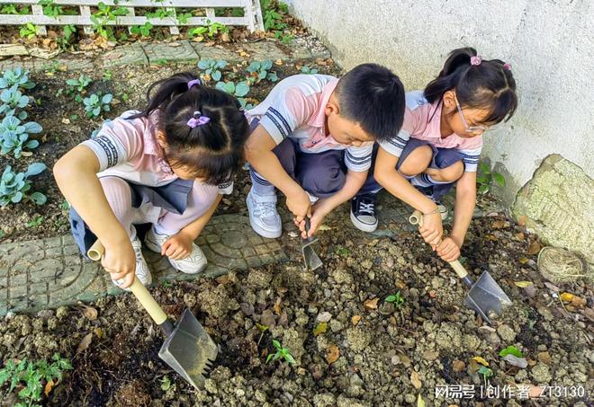 天博·综合体育幼苗破土出绿意满园春(图1)