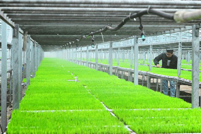 天博·综合体育科技与农业深度融合“科技种田”不再是梦(图5)
