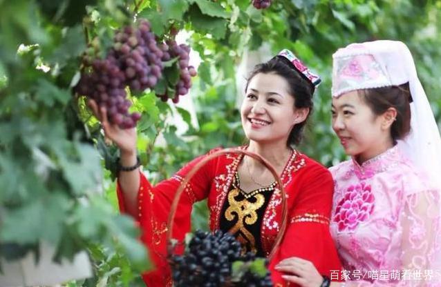 天博·综合体育吃遍大美新疆：来自新疆的9大“水果”来新疆一定要尝一尝(图9)