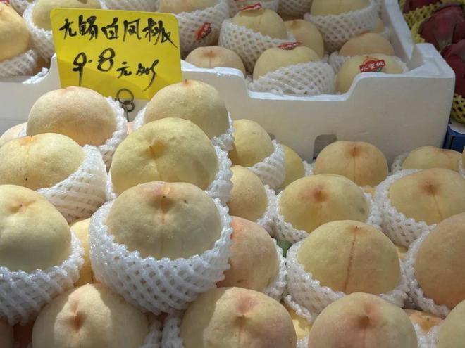 天博·综合体育夏季时令水果正热销你最喜欢哪一款？(图2)