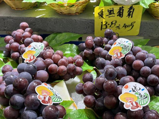 天博·综合体育夏季时令水果正热销你最喜欢哪一款？(图3)