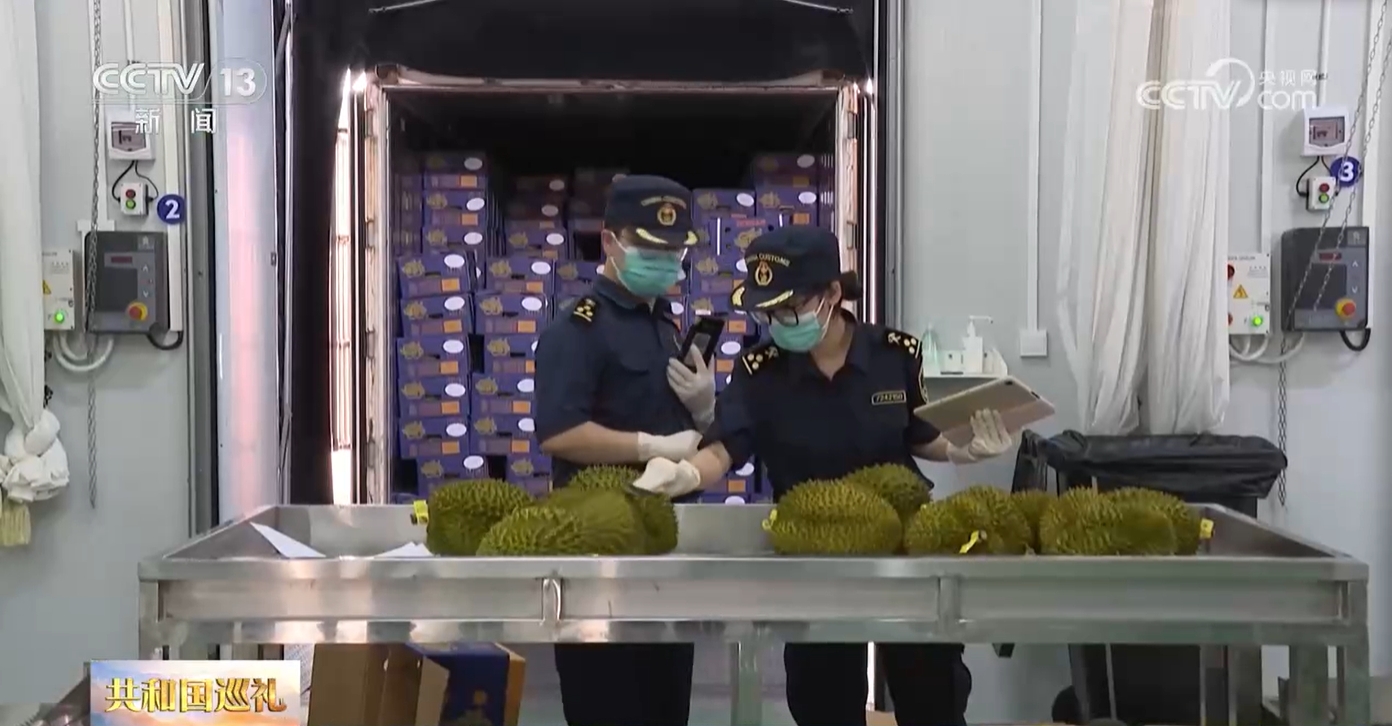 天博·综合体育共和国巡礼｜月月都有水果“上新” 广西人如何实现“水果自由”？(图5)
