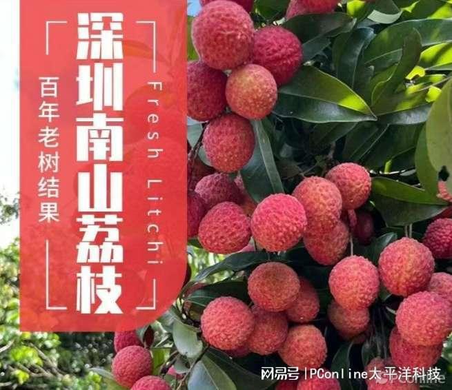 天博·综合体育购买荔枝的好时机拼多多百亿补贴帮你巨省钱！(图2)