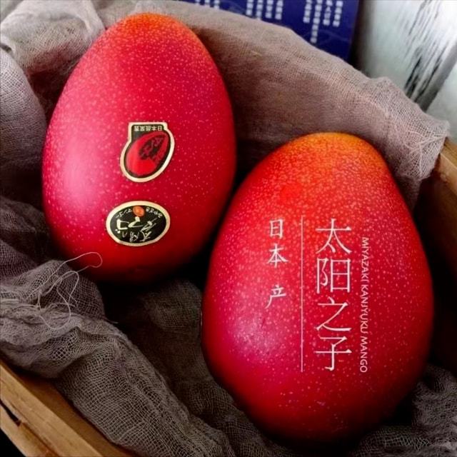 天博·综合体育日本5大“国宝级水果”品种严格禁止外泄价格高得离谱(图12)