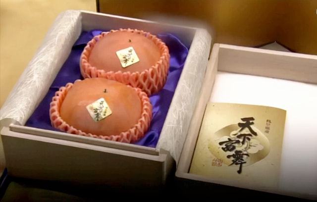 天博·综合体育日本5大“国宝级水果”品种严格禁止外泄价格高得离谱(图14)