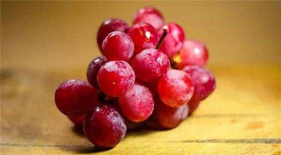 天博·综合体育5大罕见水果吃得起的都是大佬最贵达732万一个(图2)