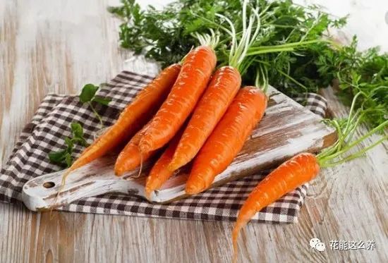 天博·综合体育这些常见水果没驯化前居然长这样(图1)