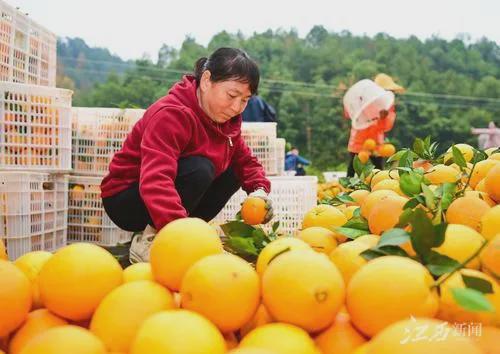 天博·综合体育央媒头版头条聚焦江西！(图4)