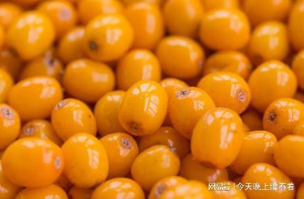 天博·综合体育十大低糖水果排行榜你至少懂5种(图6)