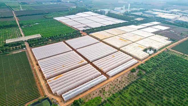 天博·综合体育省农垦水肥系统升级改造破局多厂家设备协同之困(图1)