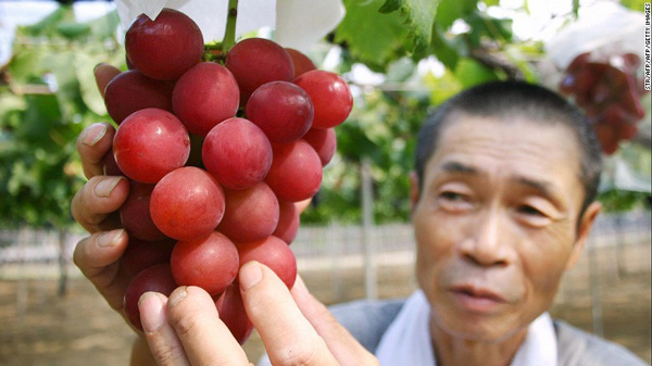 天博·综合体育揭秘日本“奢侈水果”文化(图5)