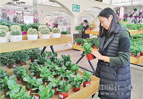 天博·综合体育经济日报调研乡村振兴之路：现代农业这样在各地蓬勃发展(图3)
