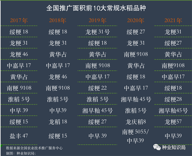 天博·综合体育中国水稻种业百年！这些品种封神(图3)