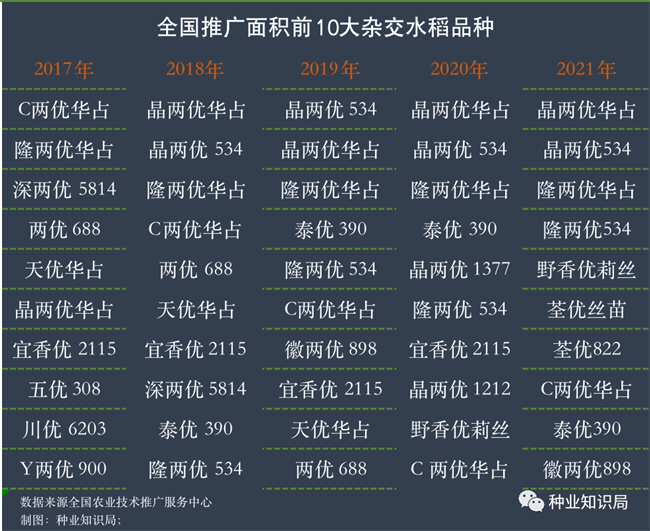 天博·综合体育中国水稻种业百年！这些品种封神(图4)