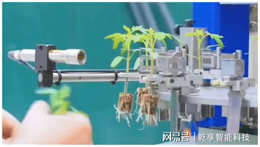 天博·综合体育智慧农业一——“智慧”加持嫁接技术提档升级(图1)