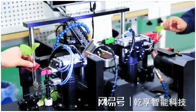 天博·综合体育智慧农业一——“智慧”加持嫁接技术提档升级(图4)
