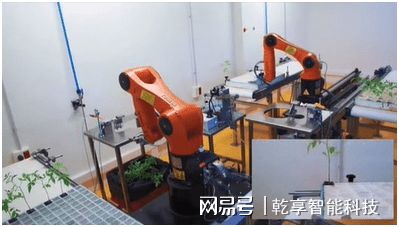 天博·综合体育智慧农业一——“智慧”加持嫁接技术提档升级(图3)