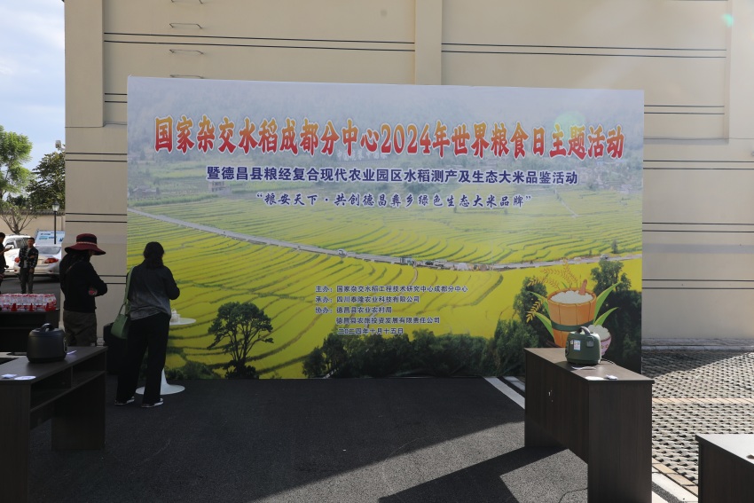 天博·综合体育四川德昌：生态大米基地丰收忙 “粮安”“业兴”促振兴(图2)