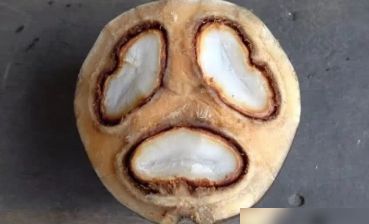 天博·综合体育世上“罕见”的四种水果图二切开是囧脸图四彩虹色果皮美腻了(图1)