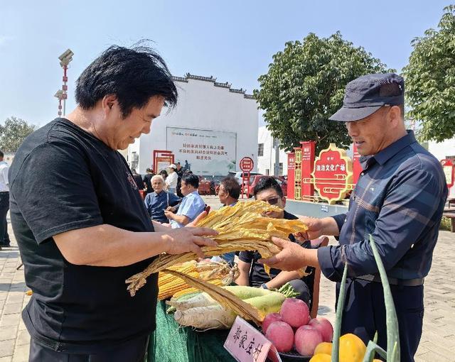 天博·综合体育彬州市北极镇：烟叶拓宽增收路(图3)