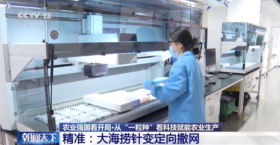 天博·综合体育让更多种子装上“中国芯” 看科技如何赋能农业生产(图3)