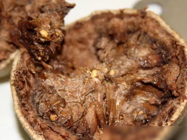 天博·综合体育这3种世界级的水果吃过1种就很“土豪”了！全知道的是“文化人”(图1)