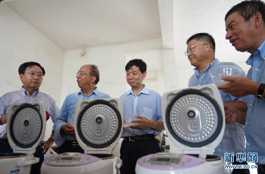 天博·综合体育我国早粳稻新品种选育成功 有望提前一个季度吃上新粳米(图2)