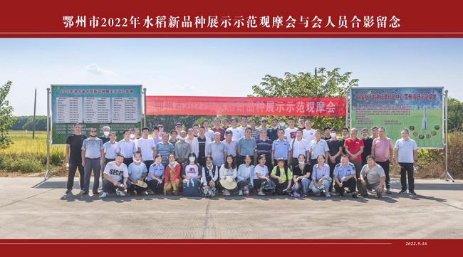 天博·综合体育示范观摩会鄂州鄂稻新品种展示-湖北 国稻种芯·中国水稻节(图2)